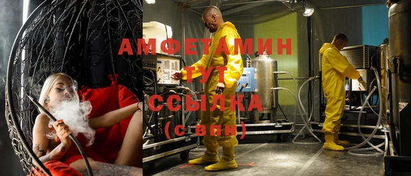 сатива Арсеньев