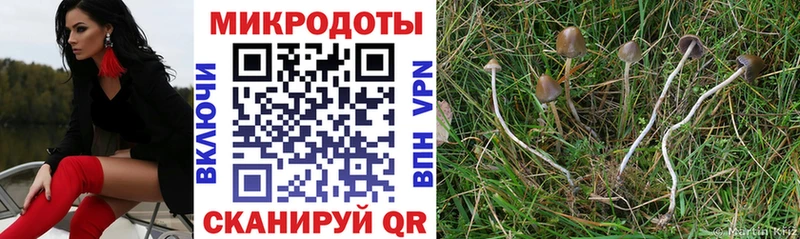 Галлюциногенные грибы ЛСД  цены   Спас-Деменск 
